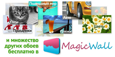 Программа Magic Logon