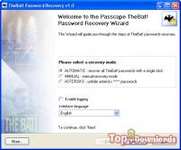   TheBat! Password Recovery