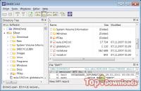   DMDE - DM Disk Editor and Data Recovery